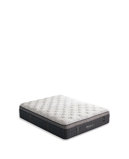 엑스퀴짓헤븐리시더